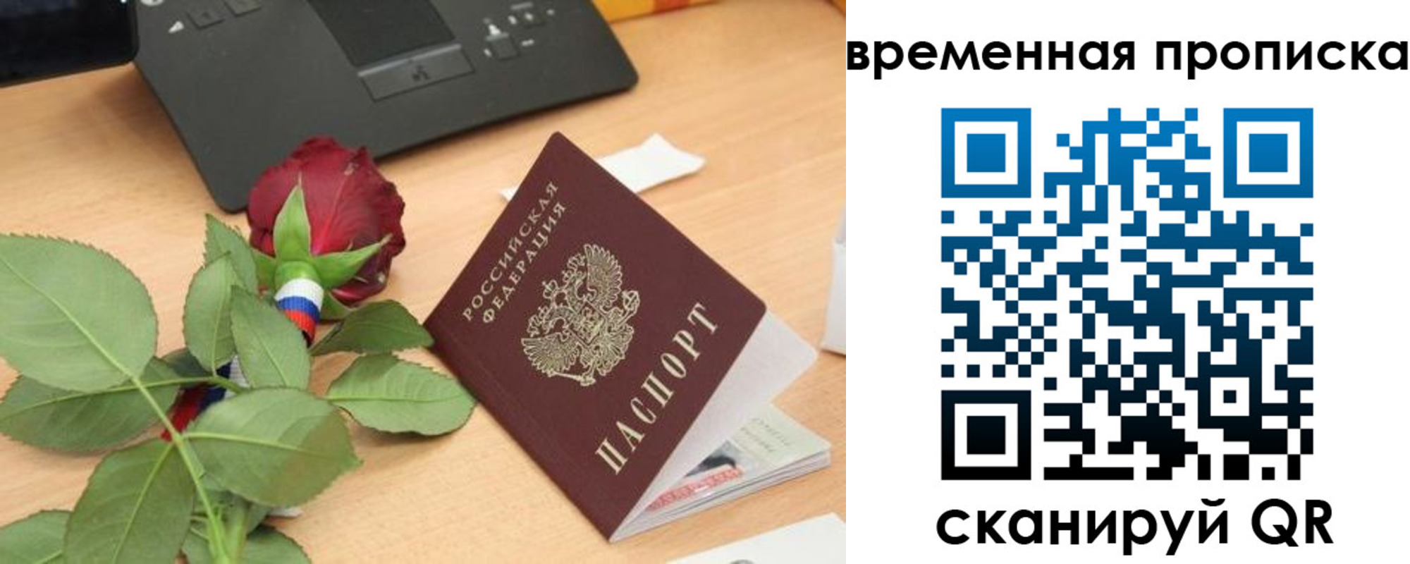 временная регистрация поиск в Нижнекамске